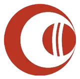 My11Circle logo